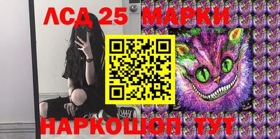 гидропоника Славгород