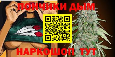 гидропоника Славгород