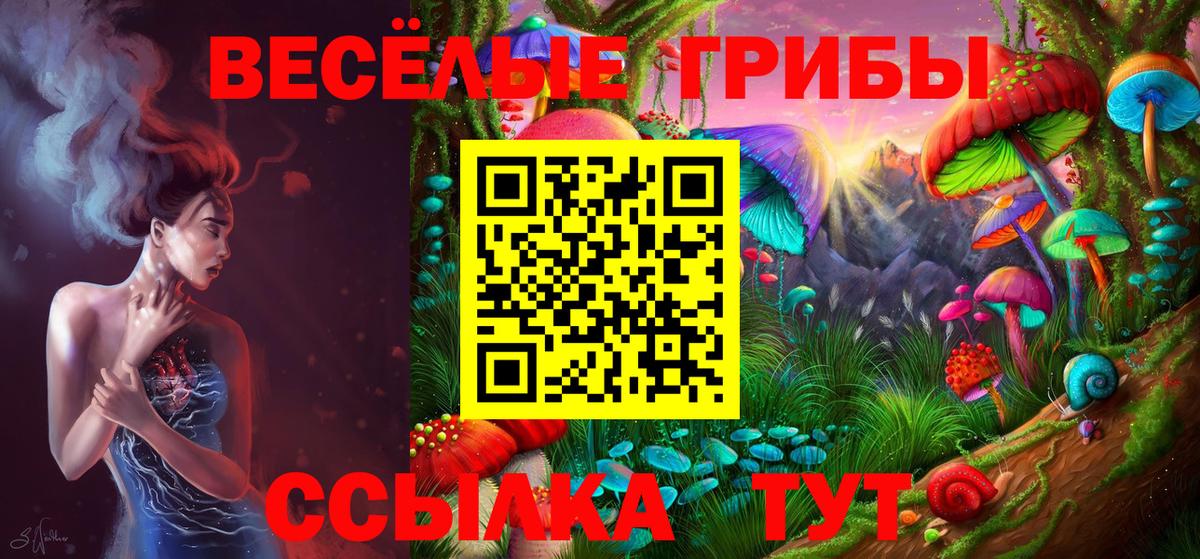 Можайск  Галлюциногенные грибы Psilocybe  Вход с VPN 