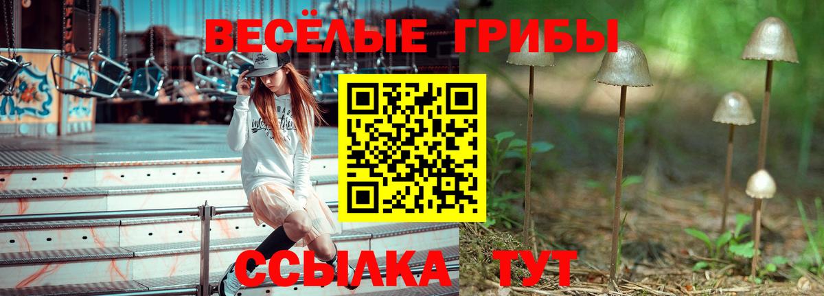 Псилоцибиновые грибы ЛСД Можайск